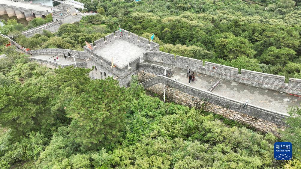 百家什乐鲨鱼分析软件